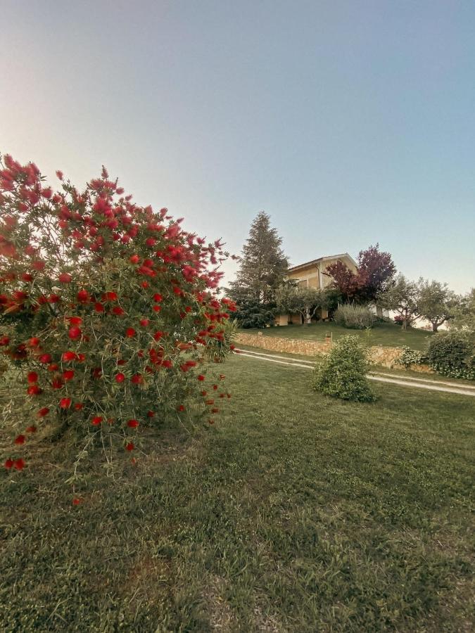 Bed & Breakfast Le Coccinelle Bed and Breakfast Rosciano  Buitenkant foto