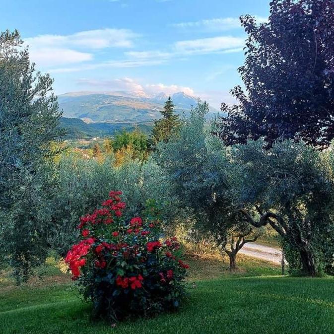 Bed & Breakfast Le Coccinelle Bed and Breakfast Rosciano  Buitenkant foto
