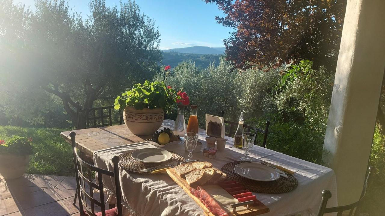 Bed & Breakfast Le Coccinelle Bed and Breakfast Rosciano  Buitenkant foto